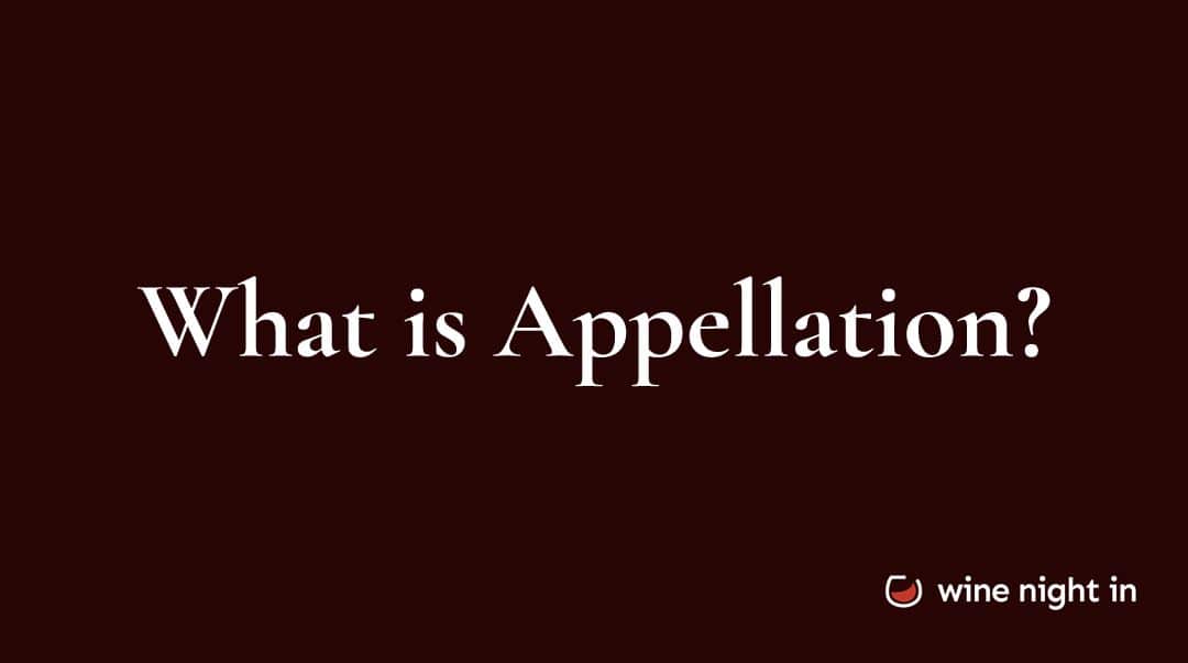 Appellation in wine explained for wine tasting at home