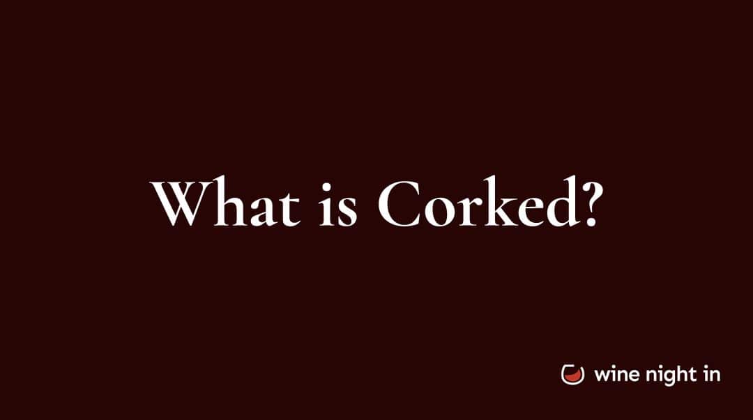 Corked wine explained for wine tasting at home