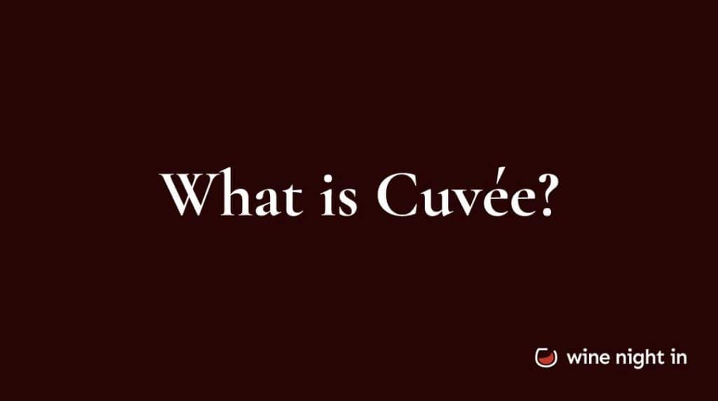 Cuvée in wine explained for wine tasting at home