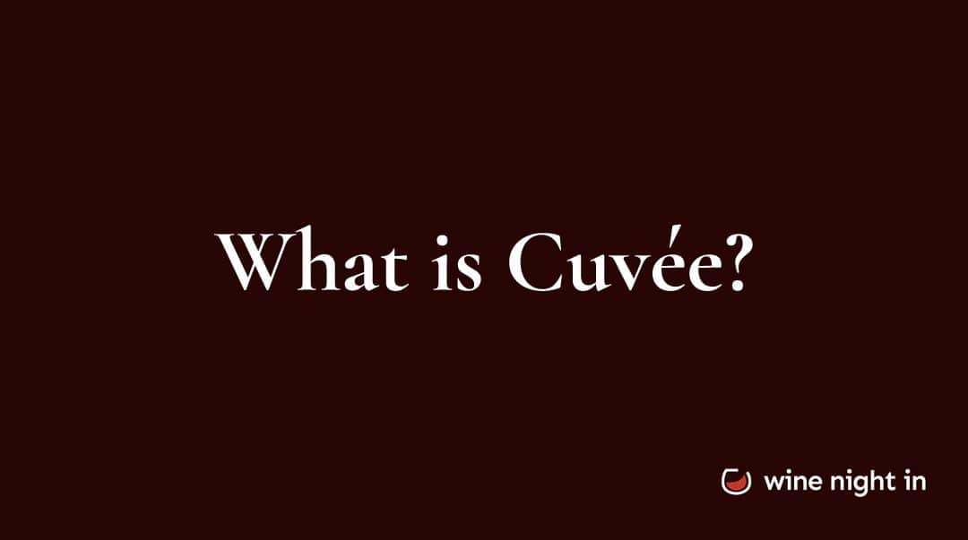 Cuvée in wine explained for wine tasting at home